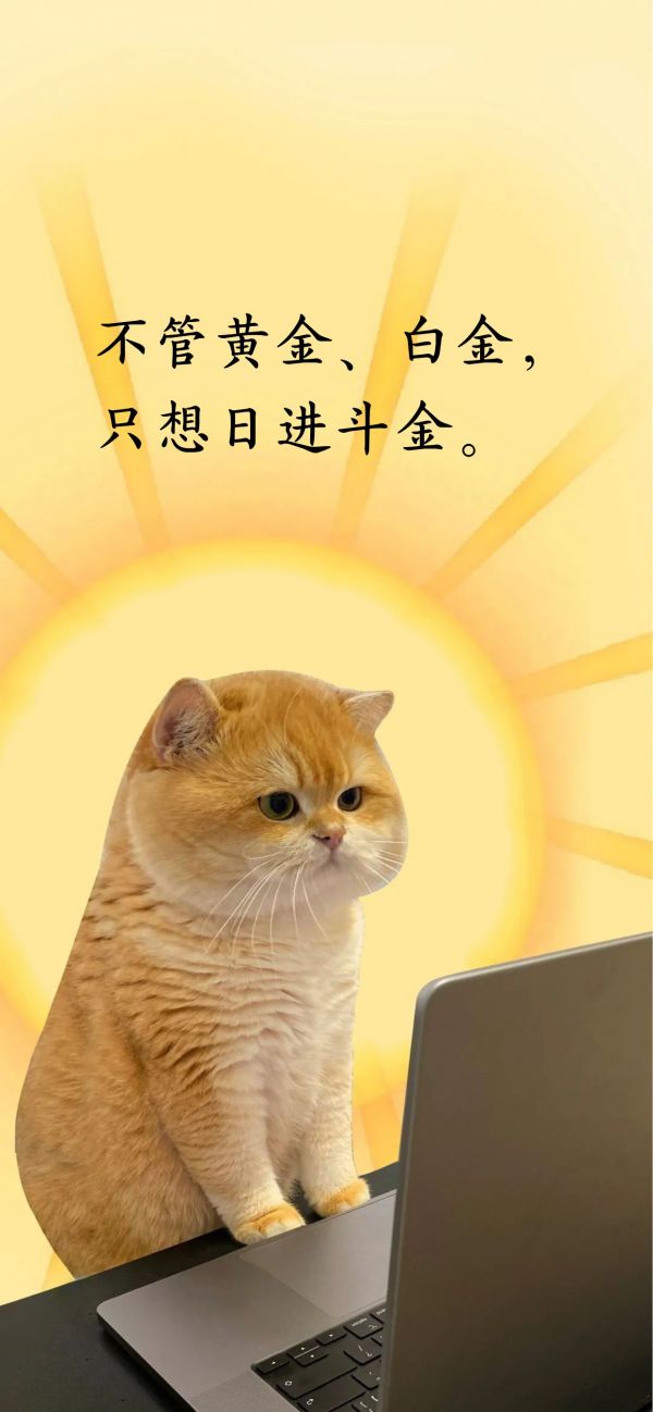 财迷猫猫文案壁纸图片可爱有趣|不生气，只生财
