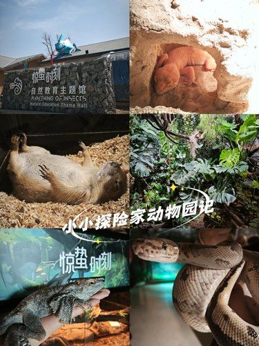惊蛰时刻自然教育主题馆的奇妙之旅