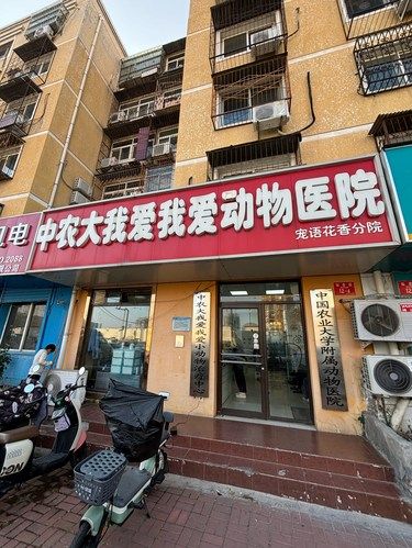小美得到了免费洗狗澡的机会
