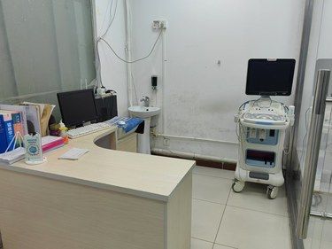 带着毛孩子洗香香