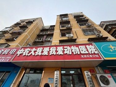 小美小狗洗澡变白啦