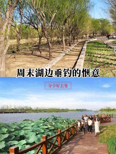 湖边漫步好惬意