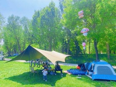 野营不野