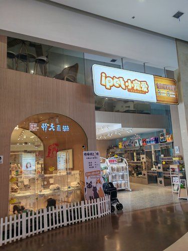 谁家有小脏猫，快来以旧换新了