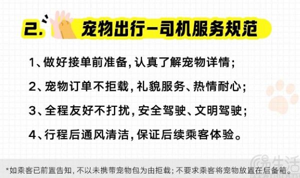 滴滴宠物出行服务全国上线，新增宠物快车车型