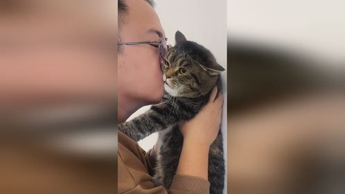 我就是想亲一下而已，为什么小猫不愿意？