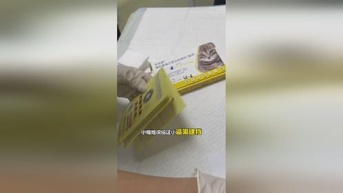你们那边给流浪猫体检贵不贵？驱虫多少钱来的？ 