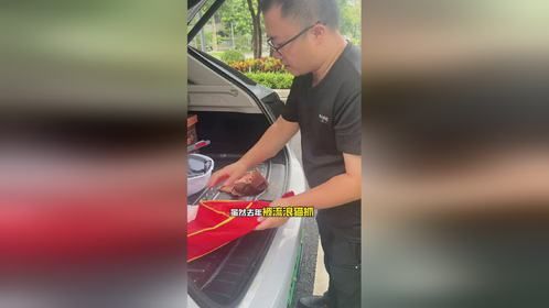 流浪小猫眼睛睁不开怎么办？怎么又捡猫了呀