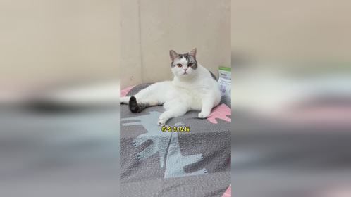 当时我要没遇到妈妈就不会有300平房子的姨姨