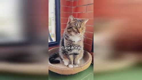 大橘听说你今天打了我妈，那你可不能揍我了哦