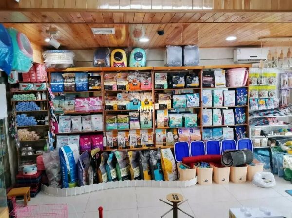 猫咪补钙的 5 大误区，90% 的铲屎官都做错了！科学补钙全攻略