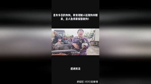 丢失多日的狗狗，却发现被人拉到狗市贩卖，主人急得要报警救狗！
