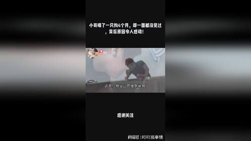 小哥喂了一只狗4个月，却一面都没见过，背后原因令人感动！