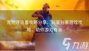 宠物连连看高效攻略：掌握技巧快速通关秘籍