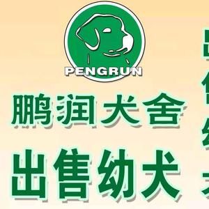 鹏润犬舍头像