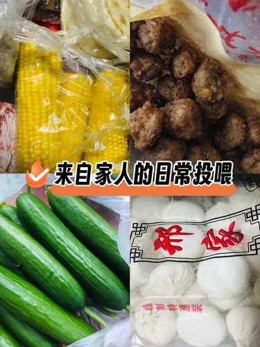 小海被宠溺的日常