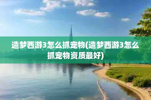 造梦西游3怎么抓宠物(造梦西游3怎么抓宠物资质最好)