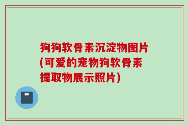 狗狗软骨素沉淀物图片(可爱的宠物狗软骨素提取物展示照片)
