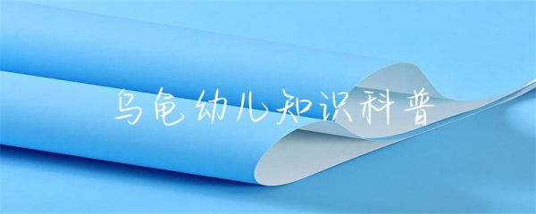 乌龟幼儿知识科普-第1张图片-彗行科普