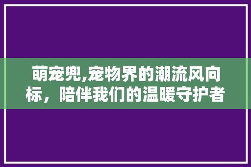 萌宠兜,宠物界的潮流风向标，陪伴我们的温暖守护者
