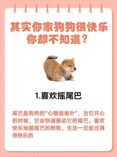 狗狗在家很快乐的特征，你家狗狗中了几条？