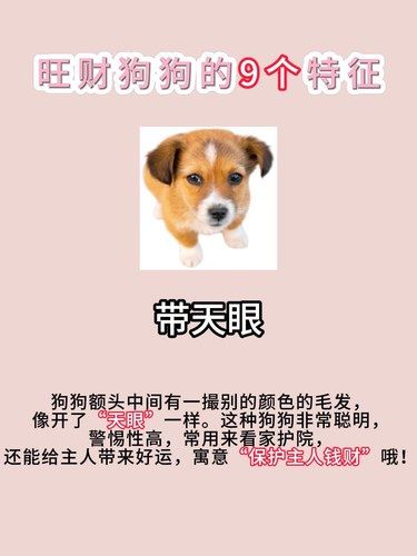 旺财的毛孩子这九大特征，你家有几条？