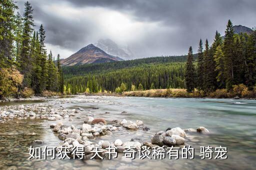 如何获得 天书 奇谈稀有的 骑宠