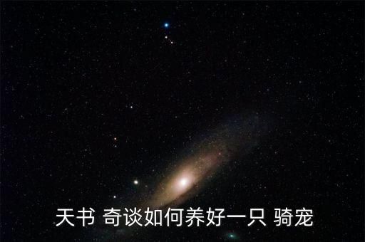  天书 奇谈如何养好一只 骑宠