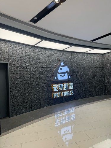 小狗真的能担当各种搭子！！！