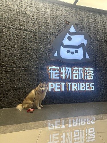郑州什么时候开了一家这么大的宠物店？
