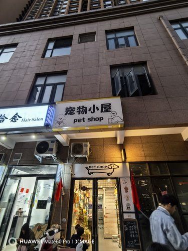 温馨宠物小店探索