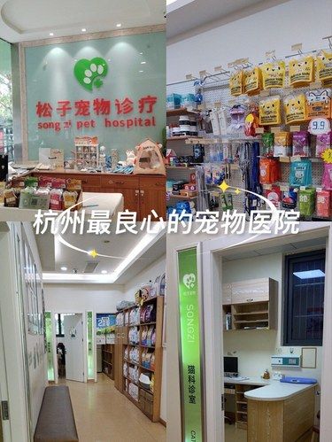 杭州最良心的宠物医院！！推荐推荐！！