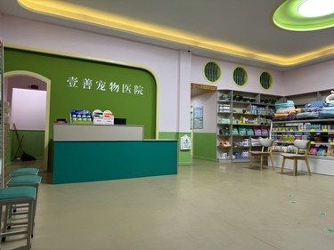 年后体检，带狗子在壹善宠物医院咯
