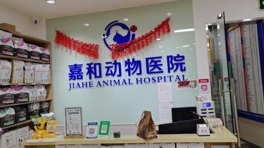 ️嘉和宠物医院 | 宠物的健康守护地