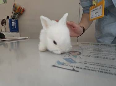 佰图动物医院，爱宠的贴心守护站