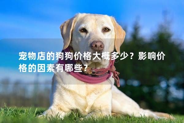 宠物店的狗狗价格大概多少？影响价格的因素有哪些？