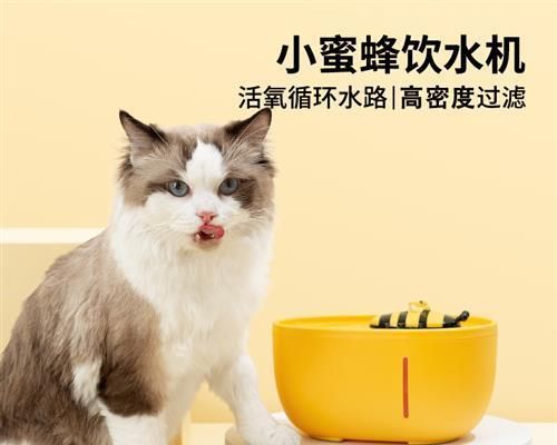 猫咪嘴碰嘴，了解猫咪的情感表达（探究猫咪以嘴碰嘴为表达方式的原因和意义）