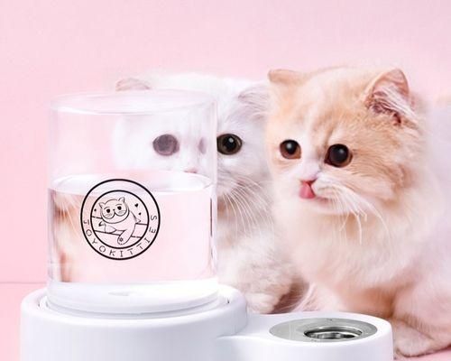 猫咪嘴碰嘴，了解猫咪的情感表达（探究猫咪以嘴碰嘴为表达方式的原因和意义）