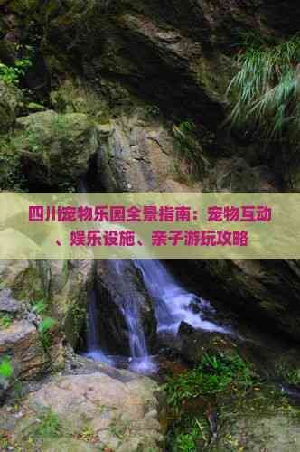 四川宠物乐园全景指南：宠物互动、娱乐设施、亲子游玩攻略