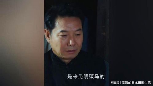 特务为了保命，逼手下跳楼，结果无济于事