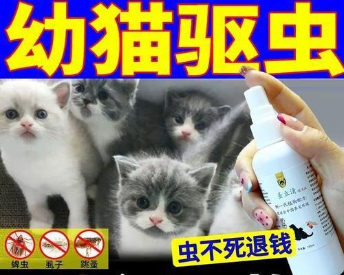 猫咪身上的虱子问题（探讨猫咪身上虱子的来源）