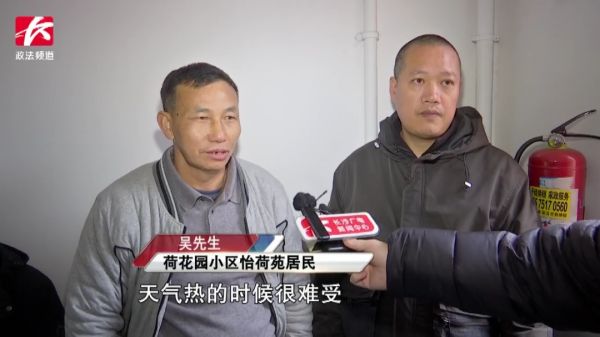 又吵又臭！女子在屋内养了30多只猫狗，邻居苦不堪言