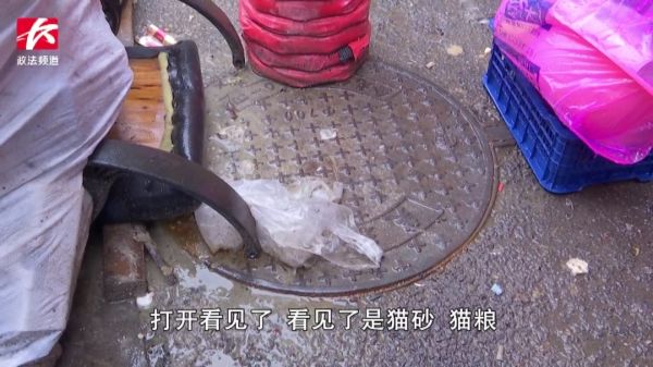 又吵又臭！女子在屋内养了30多只猫狗，邻居苦不堪言