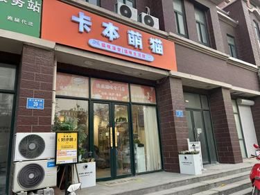 宠物店的暖心事