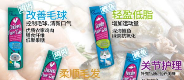 柏可心