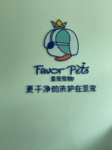 宠物美容小心得