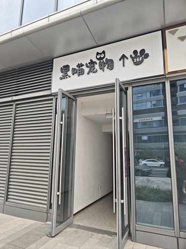 超级好的一家店，主打是猫咪酒店，还可以撸猫