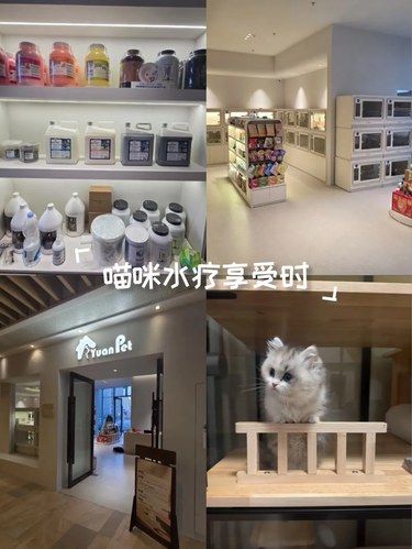 家有新成员，快来看看
