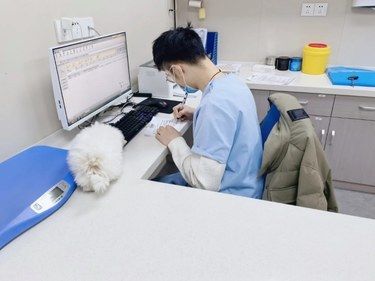 医疗环境超级给力