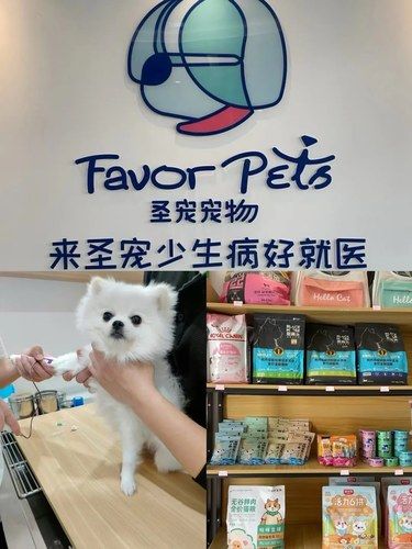 [种草]希望世界上所有的小动物都被温柔对待！！！